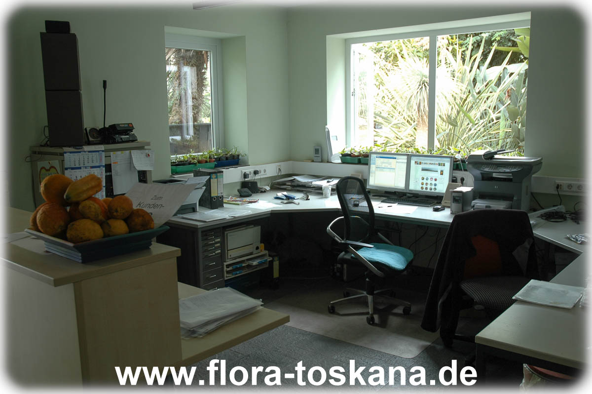 Büro - Flora Toskana - 20080613.jpg