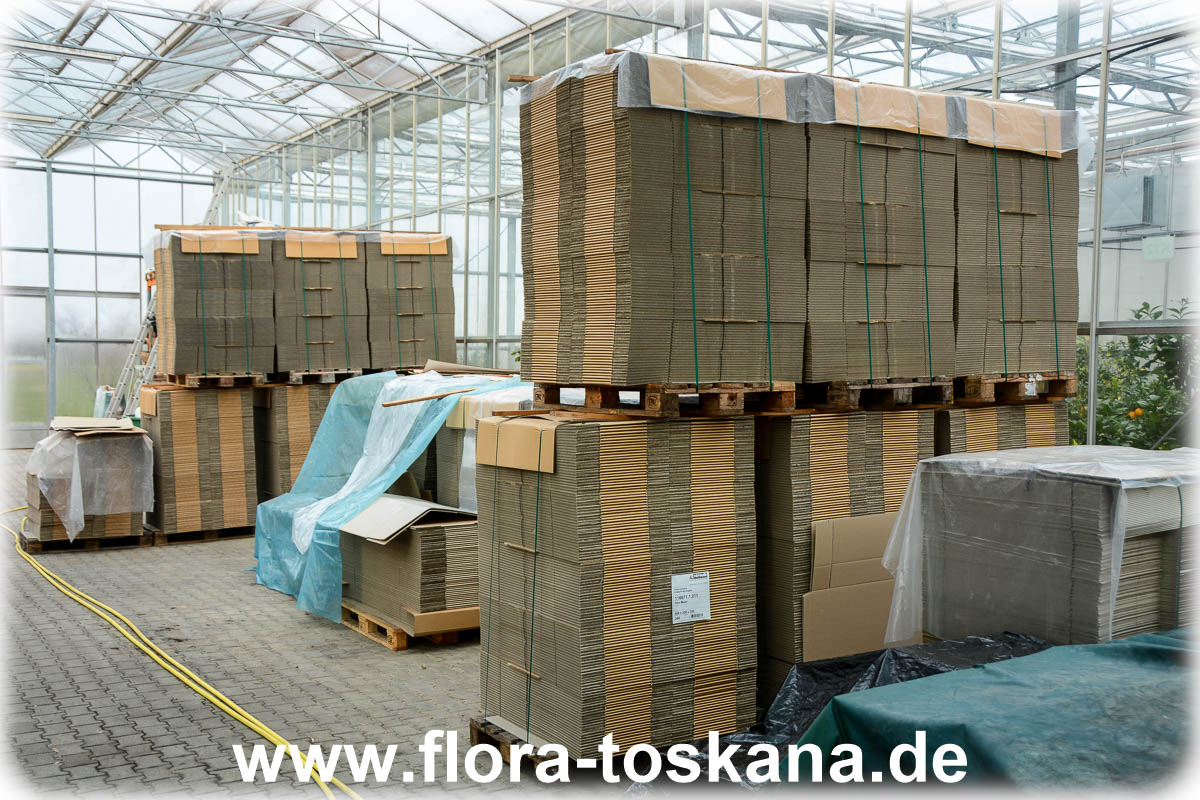 Betrieb - Flora Toskana - 20120324-4.jpg