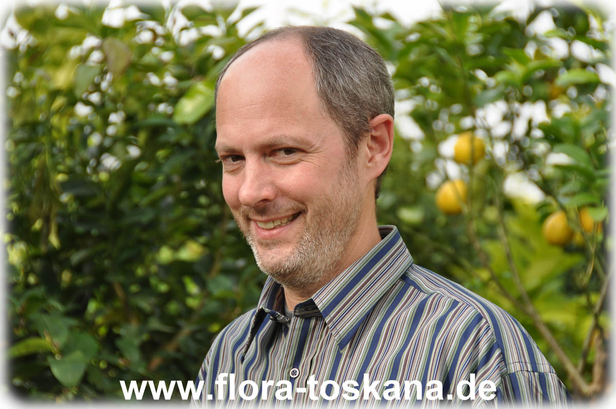 Versand - Flora Toskana - 20160315.jpg