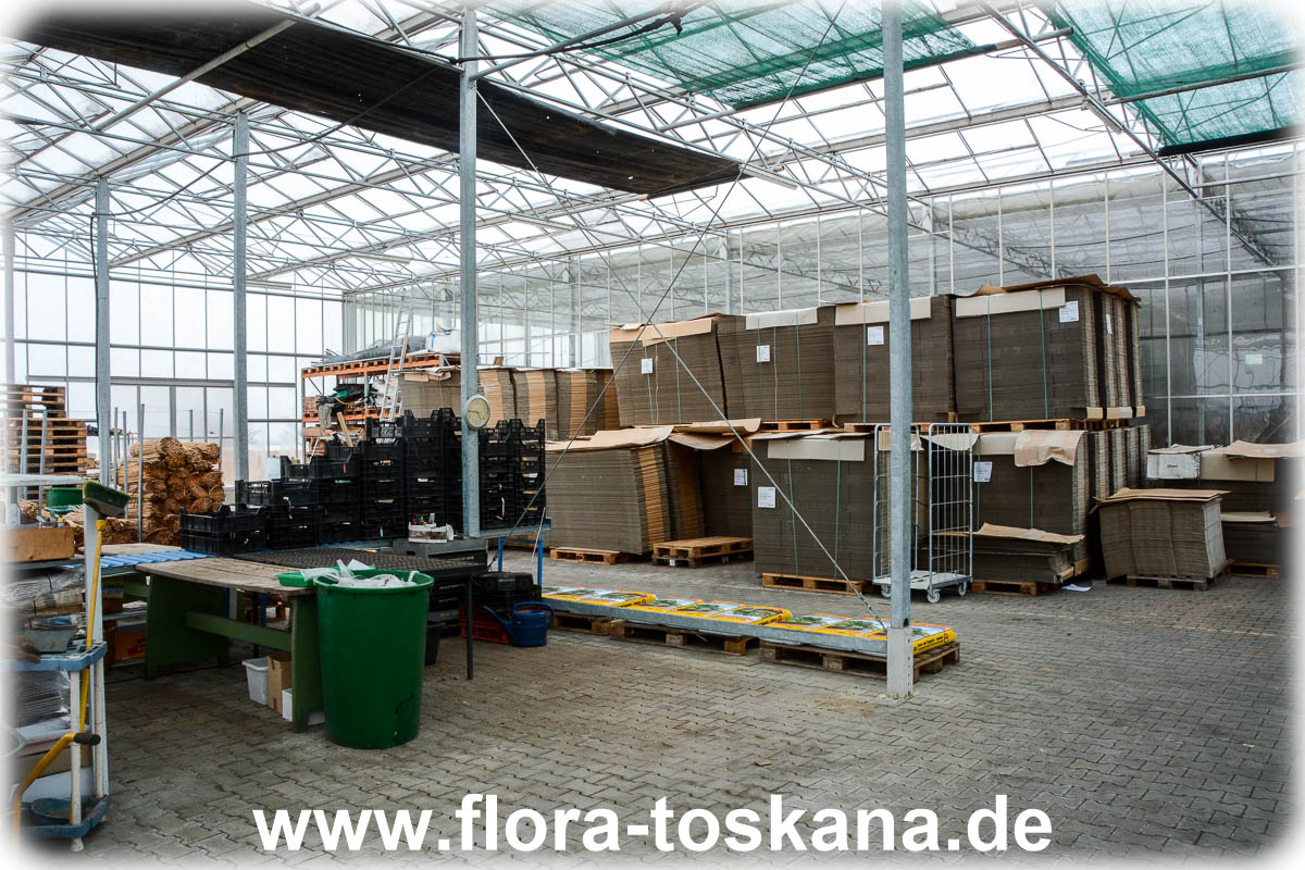 Kalthaus Flora Toskana - 20150214-2.jpg